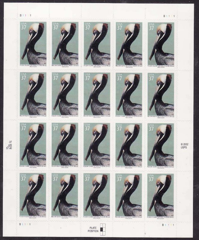 USA-Sc#3774- id12-unused NH sheet-Birds-Pelican Island Wildlife refuge-2003-