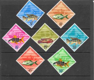 FISH - TOGO #583-7, C61-62  LH