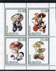 Buriatia 1998 (Russia Local) MUSHROMS Sheet Perforated Mint (NH)