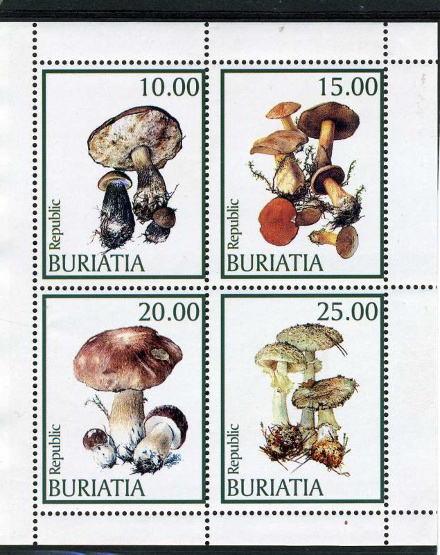 Buriatia 1998 (Russia Local) Mushrooms Sheet Perforated mnh.