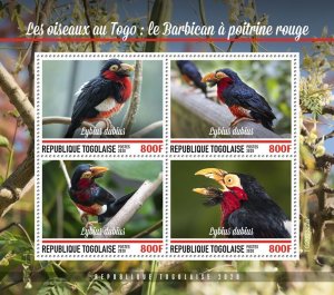 TOGO - 2020 - Birds of Togo, Bearded Barbet - Perf 4v Sheet - Mint Never Hinged