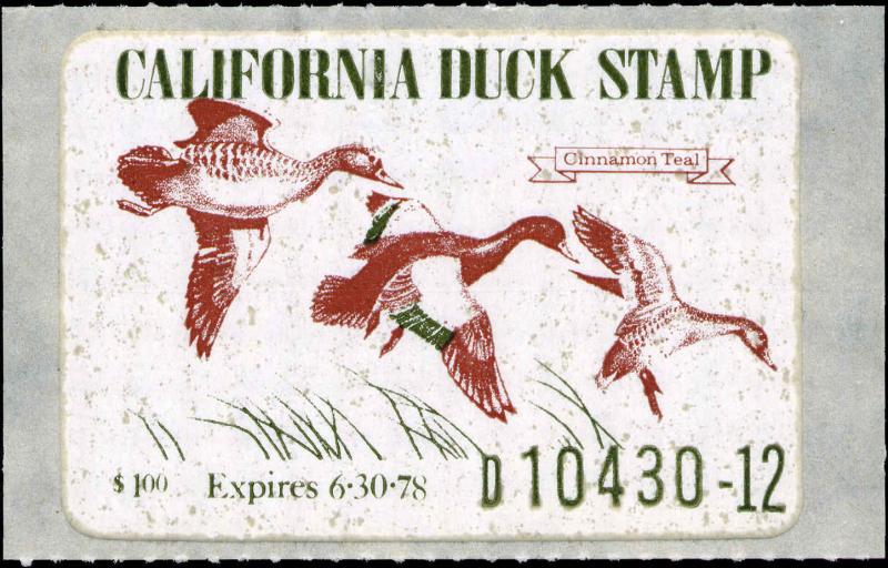 CALIFORNIA #7 1977 STATE DUCK $1 CINNAMON TEAL by  Paul Johnson