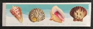 US #5167-5170 MNH Coil Strip of 4 Seashells