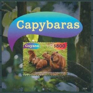Guyana 2015 MNH Wild Animals Stamps Capybaras Rodents 1v S/S