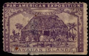 1901 US Poster Stamp Pan American Exposition Hawaiian Islands Unused