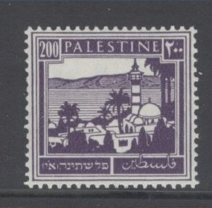 Palestine, Scott 81 MH