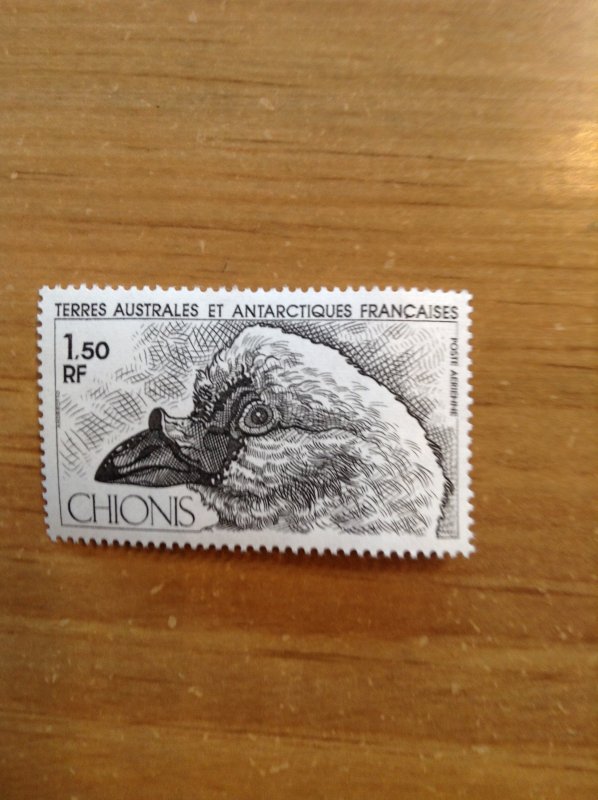 French Southern & Antarctic Territory Sc C65 NH