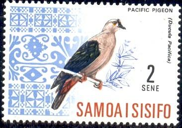 Bird, Pacific Pigeon, Samoa stamp SC#266 MNH