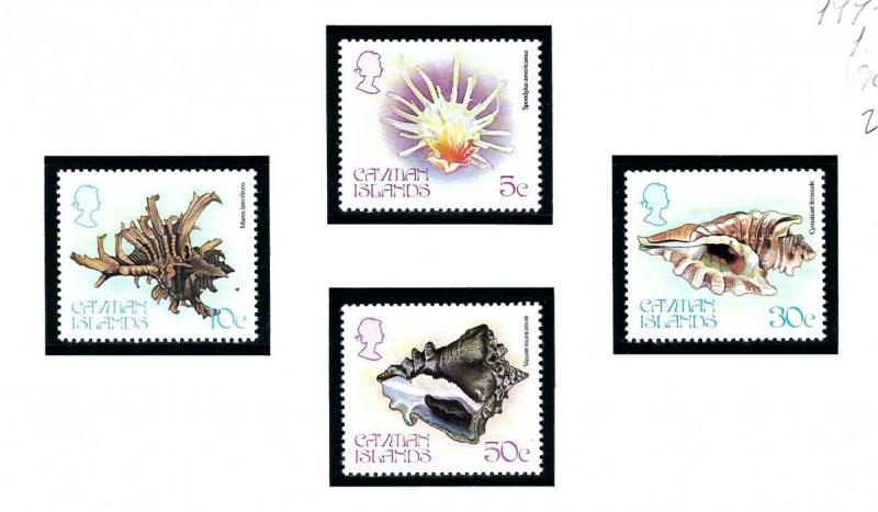 Cayman Is 444 47 MNH 1980 Sea Shells