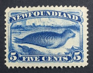 MOMEN: NEWFOUNDLAND SG #48 MINT OG H LOT #60259
