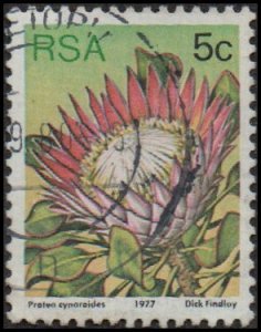 South Africa 479- Used - 5c King Sugarbush (perf 12.5) (1977) +