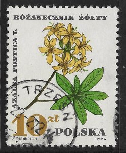 Poland #1516 10z Midicinal Plants - Azalea Pontica