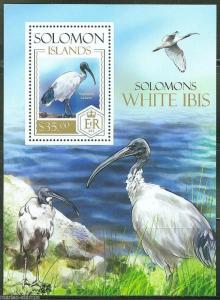 SOLOMON ISLANDS  2013 SOLOMON'S  WHITE IBIS  SOUVENIR SHEET  MINT NH