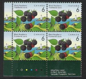 Canada PL BL Black Raspberry 6