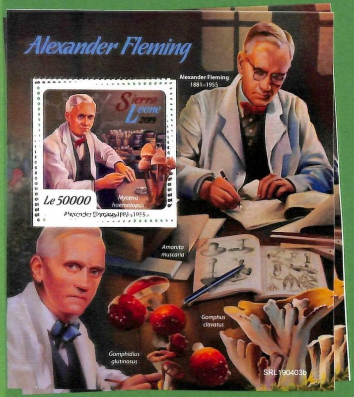 A2511 -SIERRA LEONE -ERROR: MISPERF Souvenir s -2019 Fleming Medicine, Mushrooms