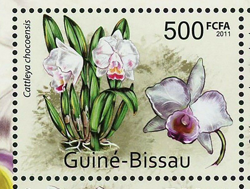 Orchids Stamp Cattleya Chocoensis Aerides Guinquevulnerum S/S MNH #5542-5545