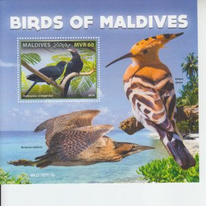 2019 Maldives Birds SS (Scott NA) MNH