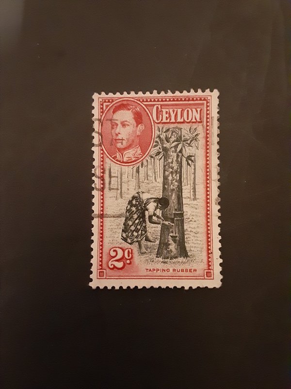 *Ceylon #278b