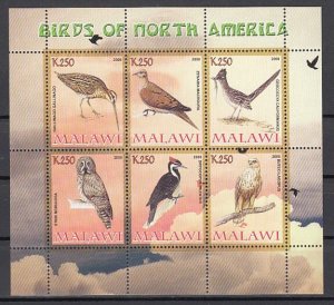 Malawi, 2008 Cinderella issue. No. American Birds & Owl, sheet of 6. ^