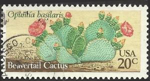 # 1944 USED BEAVERTAIL CACTUS