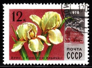 Russia 4653- used - Flower