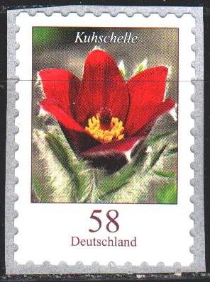 Germany. 2012. 2971. Backache, sleep-herb, used in folk medicine, poisonous. ...