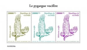 Guinea - 2020 African Fish Eagle Birds - 3 Stamp Sheet - GU200236a