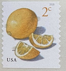 ~~VINTAGE TREASURES~~  2018USA #5256 2c Meyer Lemons - Coil Single  MNH  