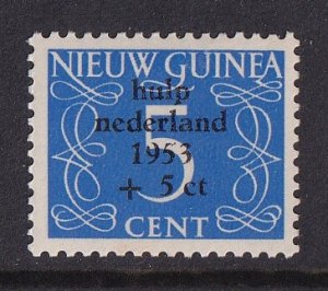 Netherlands  New Guinea   #B1  MH  1953  flood relief  5c