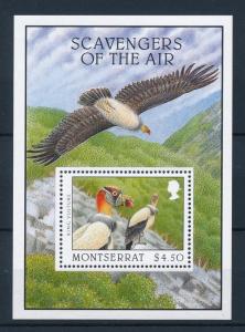 [40122] Montserrat 1997 Birds Vögel Oiseaux Ucelli  Vulture MNH Sheet