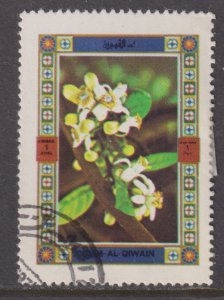 UAE Umm Al Qiwain Unlisted Flowers