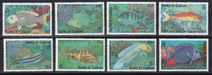 Turks & Caicos, Fauna, Fishes MNH / 1990