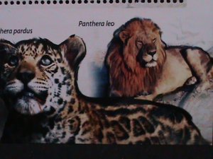 ​COMORO ISLANDS 2011-COLORFUL BEAUTIFUL WILD ANIMALS-LIONS MNH S/S-VERY FINE