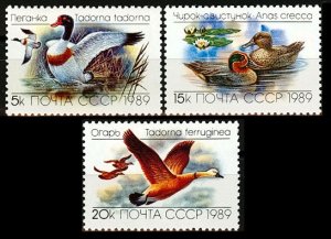 1989  USSR 5965-5967 Ducks