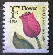 United States, Scott #2518, used(o) coil, 1991,  F Tulip, (29¢)