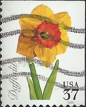 # 3901 USED DAFFODIL