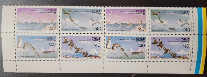 O) 1986 CHILE, ANTARCTIC WILDLIFE, PENGUIN, STERNA VITTATA BIRD, PHALACROCORAXCA