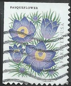 # 5676 Used Mountain Flora