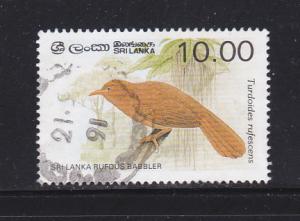 Sri Lanka 839 U Birds, Sri Lanka Rufous Babbler