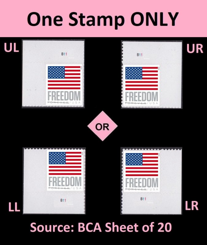 US Flag Freedom forever plate single B111 (1 stamp from BCA sheet) MNH 2023 4/15 