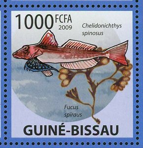 Marine Plants Fish Stamp Dragonetta Xenica Fucus Serratus S/S MNH #4291-4295