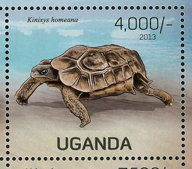 Turtles Stamp Aldabrachelys Gigantea Testudo Kleinmanni S/S MNH #3005-3008