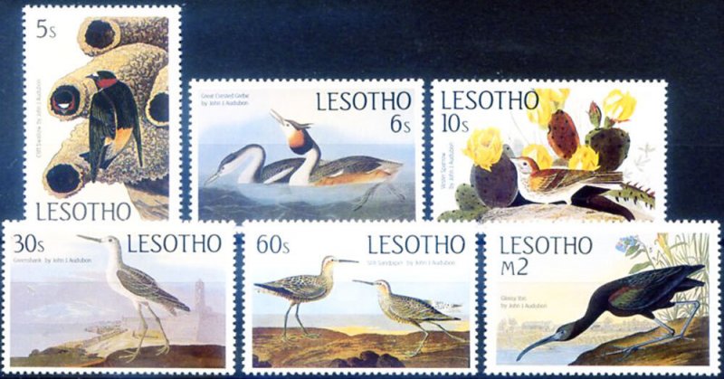 Fauna. 1985 Uccelli.