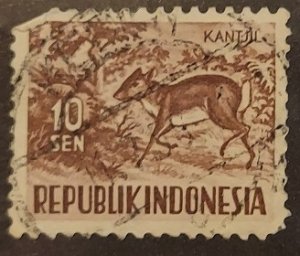 Indonesia 425