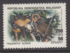 Madagascar 944 MNH VF