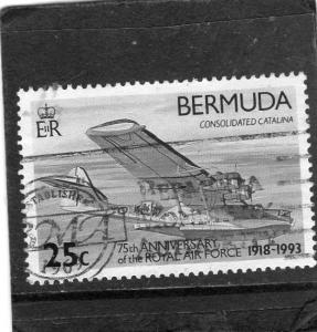 Bermuda Royal Air Force used