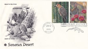 1999, Sonoran Desert, FDC (E12453)