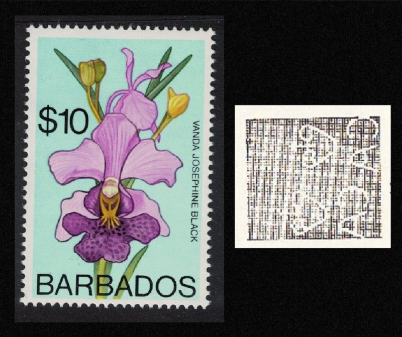 Barbados Orchid Vanda 'Josephine Black' $10 WMK Ww14 RAR 1975 MNH SG#524