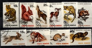 Romania Animals