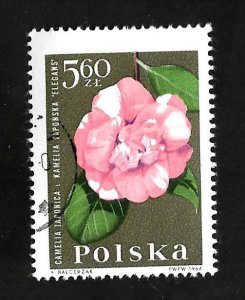 Poland 1964 - U - Scott #1290